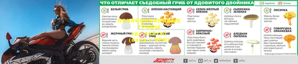скорость mdpv Нефтекумск