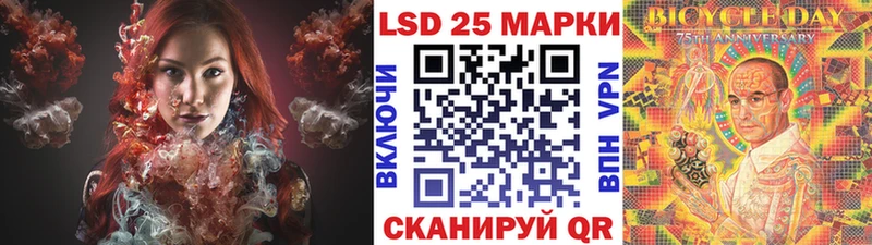 где купить Камышин Марки 25I-NBOMe 1,8мг