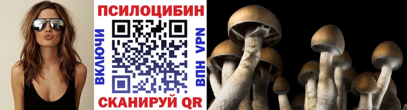 Галлюциногенные грибы мицелий Камышин